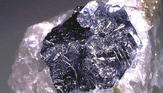 精神堡壘 精神堡壘