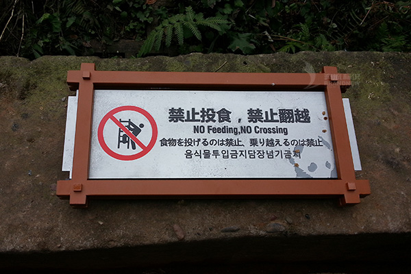 景區(qū)標(biāo)識設(shè)計