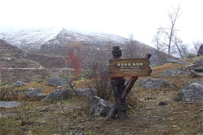 景區標識設計的相關元素