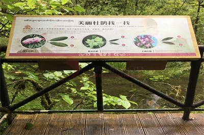 系統的景區標識設計準則