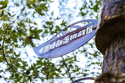 淺談景區標識牌規范化締造 淺談景區標識牌規范化締造