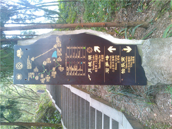 DSC_0881.jpg DSC_0881.jpg